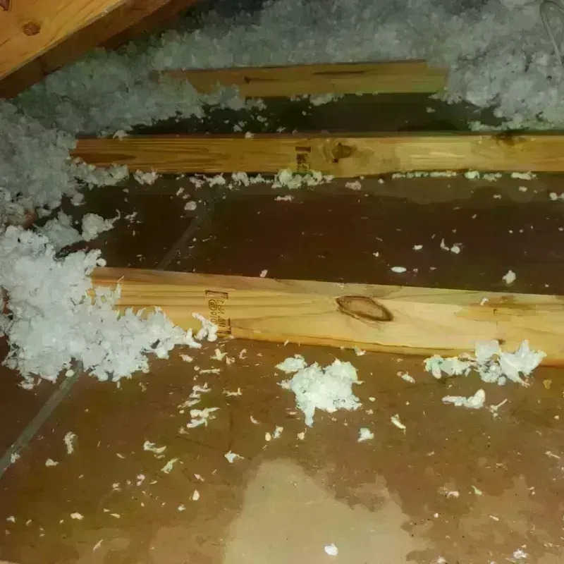 Attic Water Damage in Bay City, MI