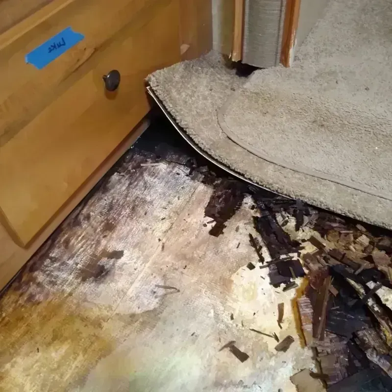 Wood Floor Water Damage in Bay City, MI